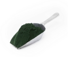 Image 13 from The Natural Dye Store