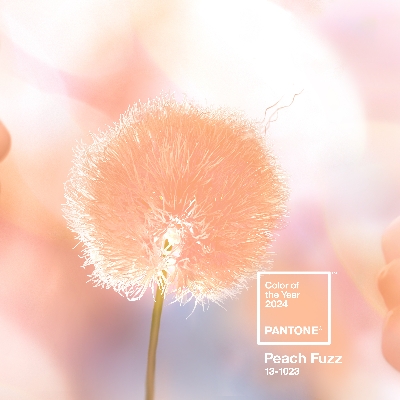 Feeling peachy with Pantone's Colour of the Year 2024 announcement