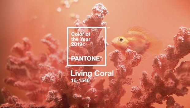 Pantone reveals Colour of the Year 2019: Image 1
