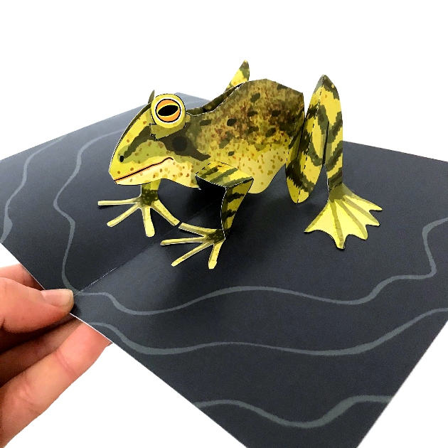 Papercraft pop-up frog in card