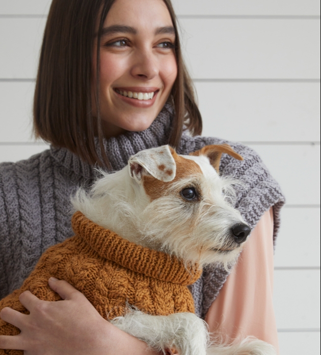 white scruffy dog in a knitted jumper in mustard