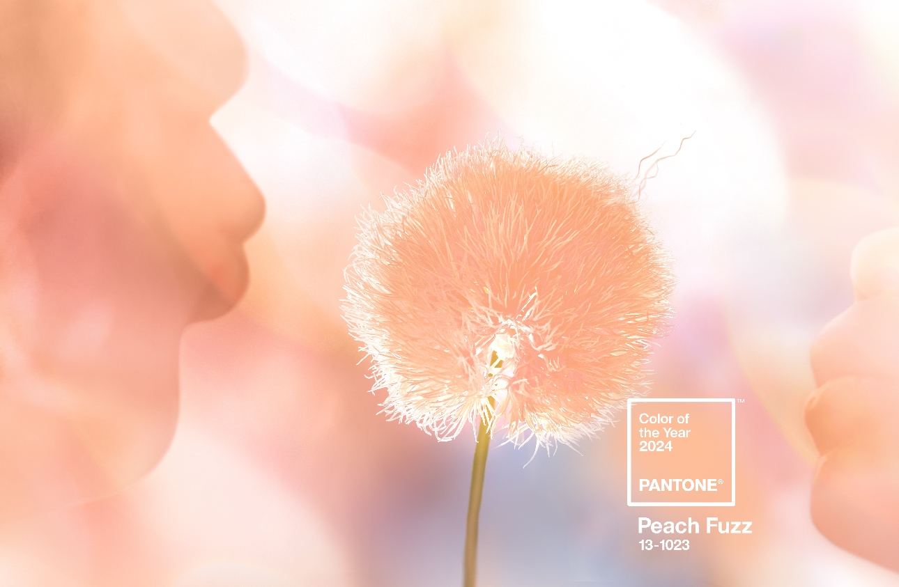 feeling peachy pantone colour of year swatch