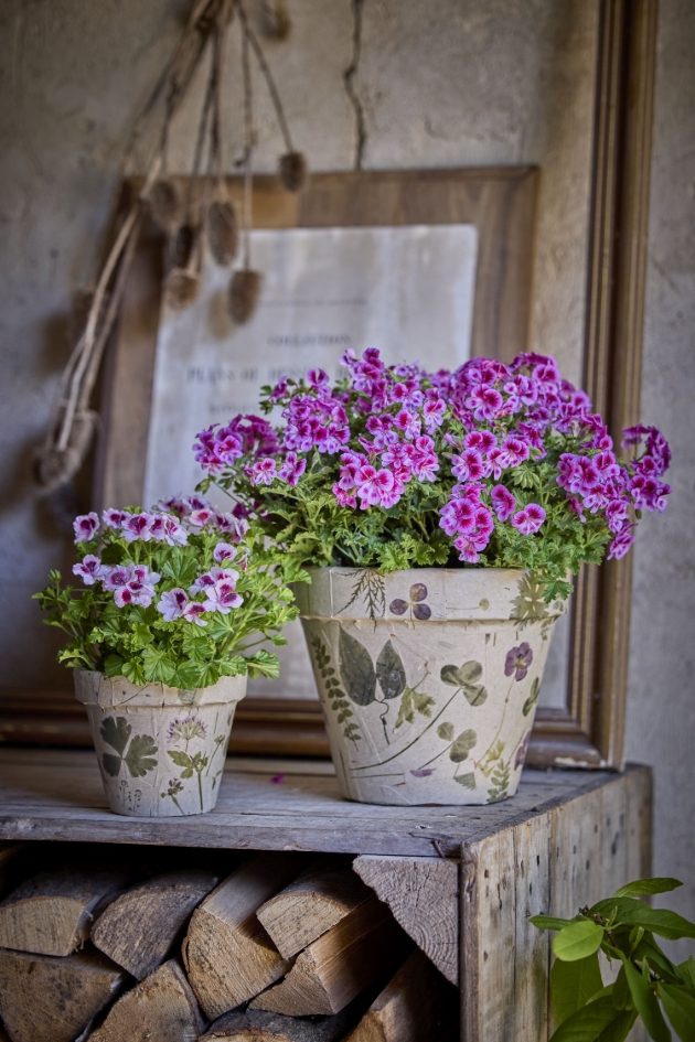 garden pots decorated with flowers