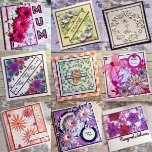 Craft Buddy Ltd