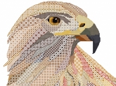 Thumbnail image 4 from DoodleCraft Design